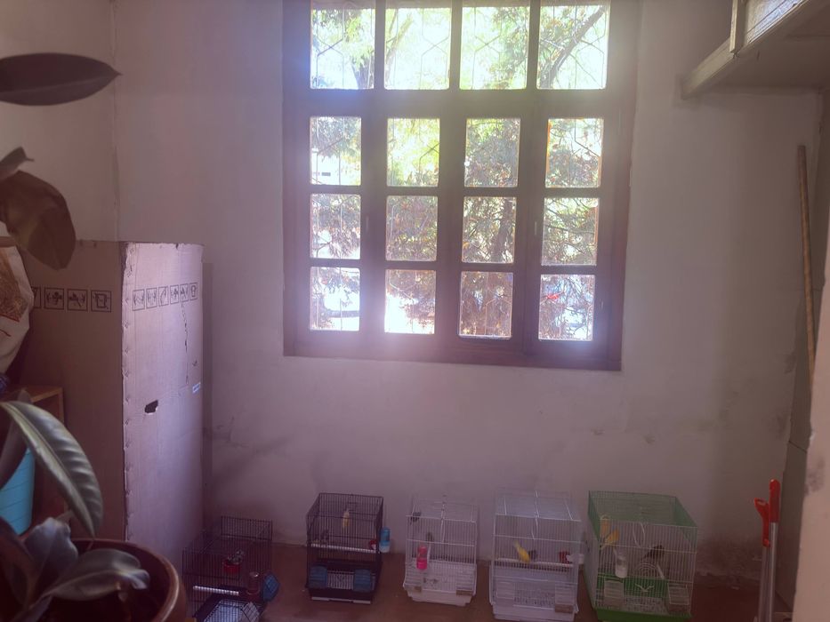 Аренда ттз 4 пустая без мебели