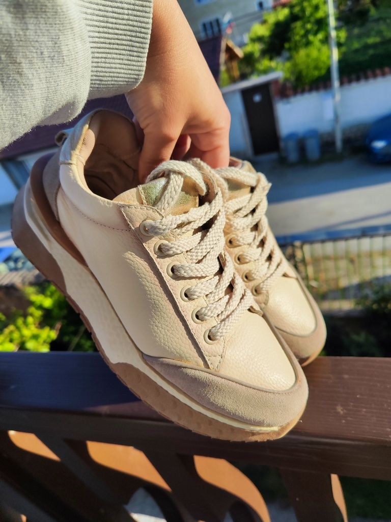 Маратонки Adidas и Paolo Botticellli
