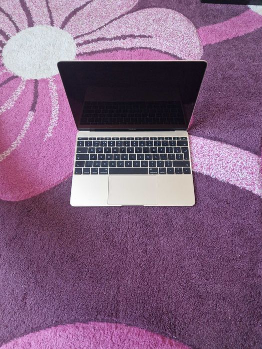 Ecran MacBook A1534 (Retina, 12 inchi)