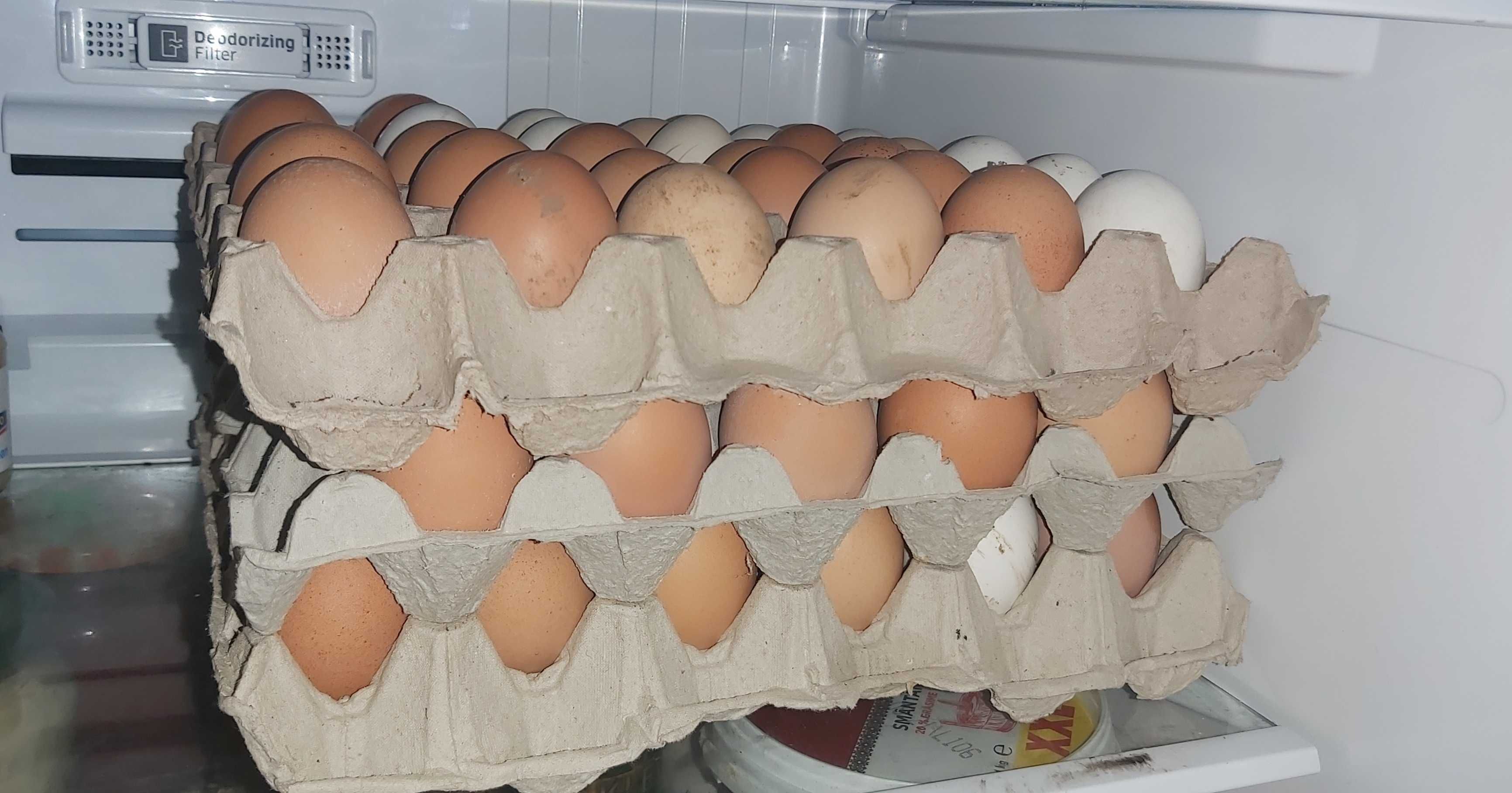 Oua de găină proaspete de consum