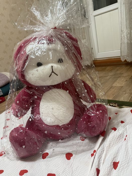 Келісім бар жаза беріңіздер звандасаңыздарда болады күтеміз