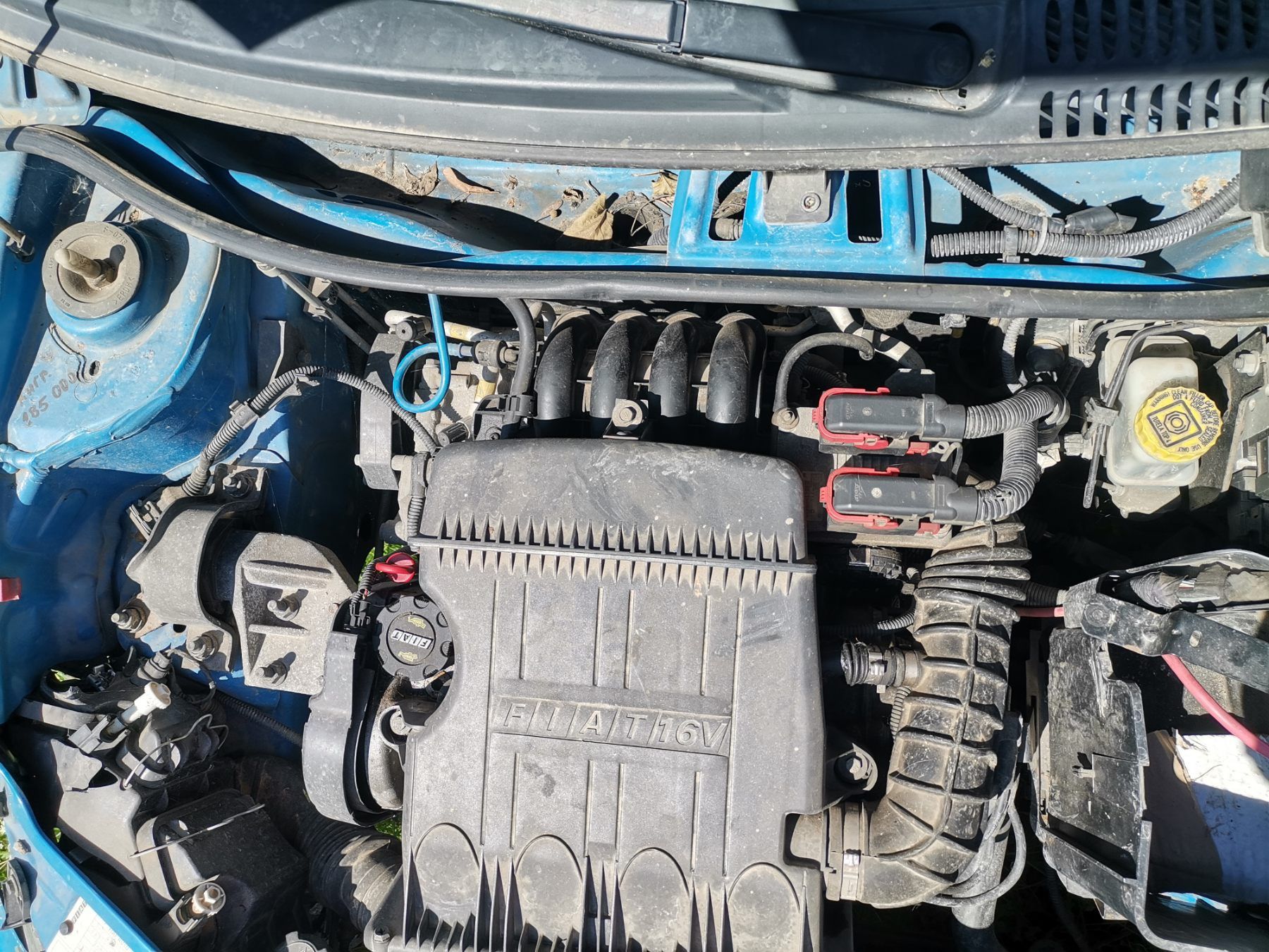 Fiat Puntо 2004 1.2 бензин на части