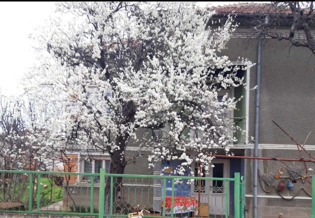 Вила под наем Видинско