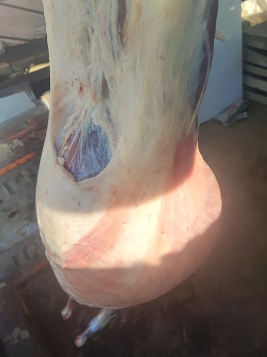 Ешкі еті сатылады