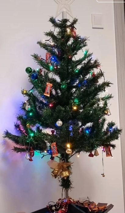 Brad de Craciun conplet