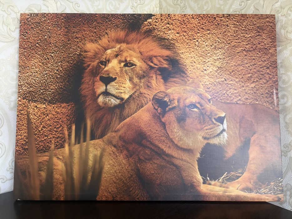 Продается стенка