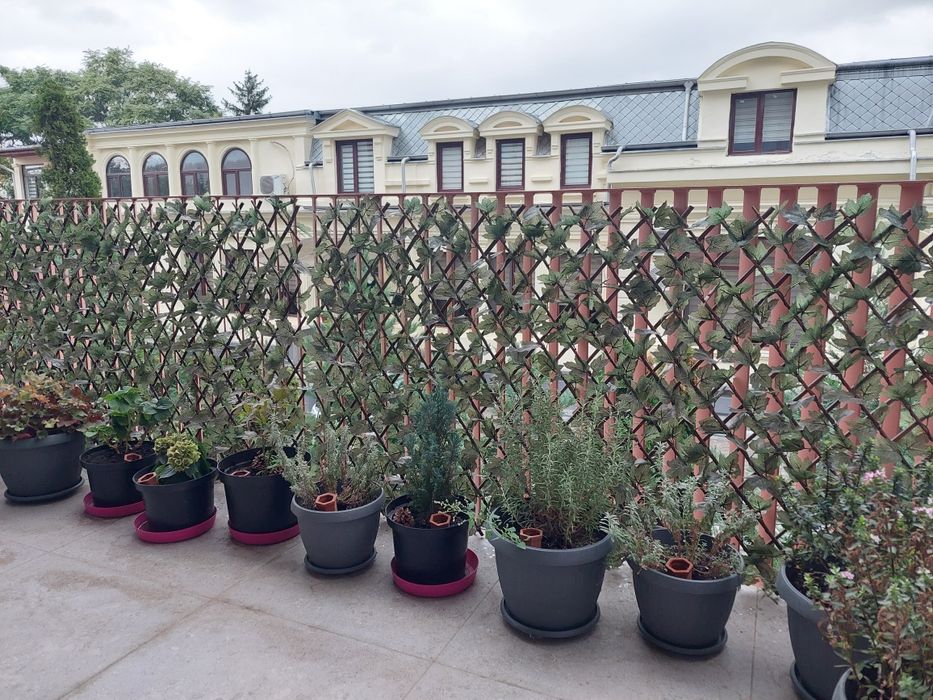 Gard decorativ extensibil 250x100cm, 2 buc., pentru balcon, curte, ter