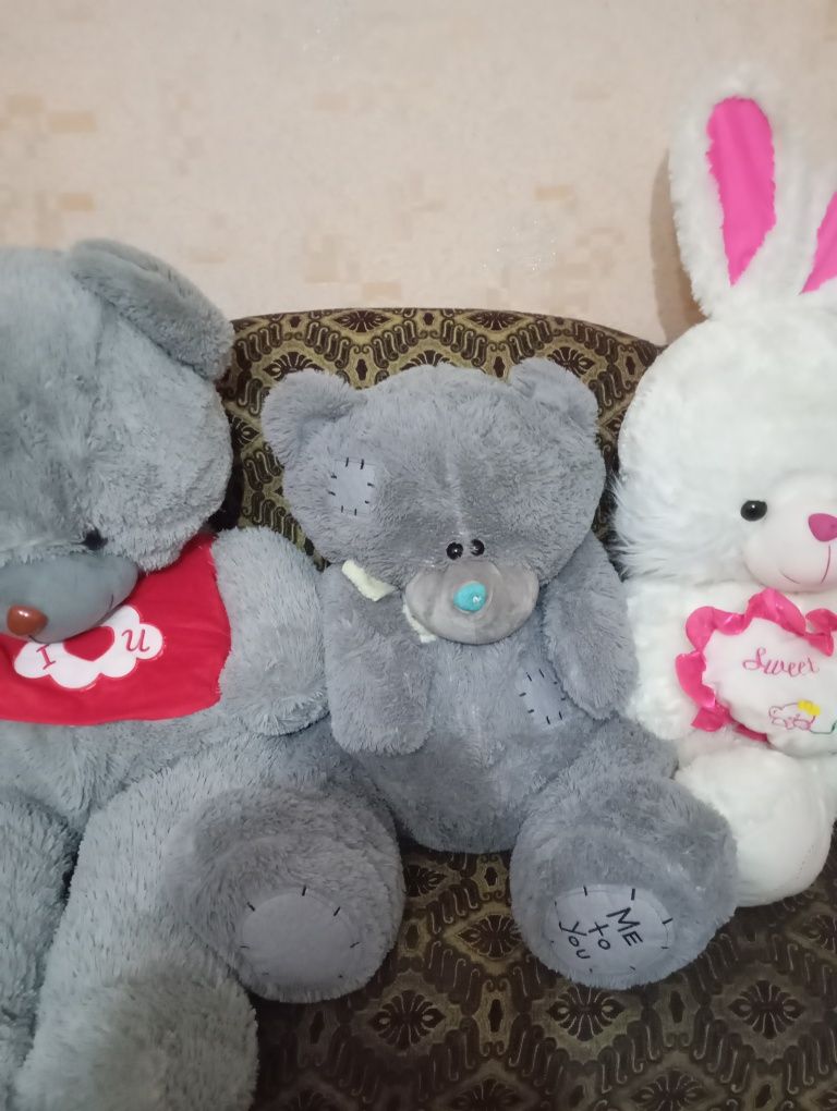 Teddy Ayiqchalar Sotiladi