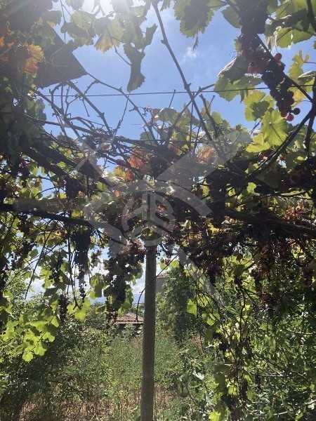 Продава се Къща в с. Куртово Конаре, Област Пловдив - 105 кв.м за 667 €/кв.м - Снимка #6