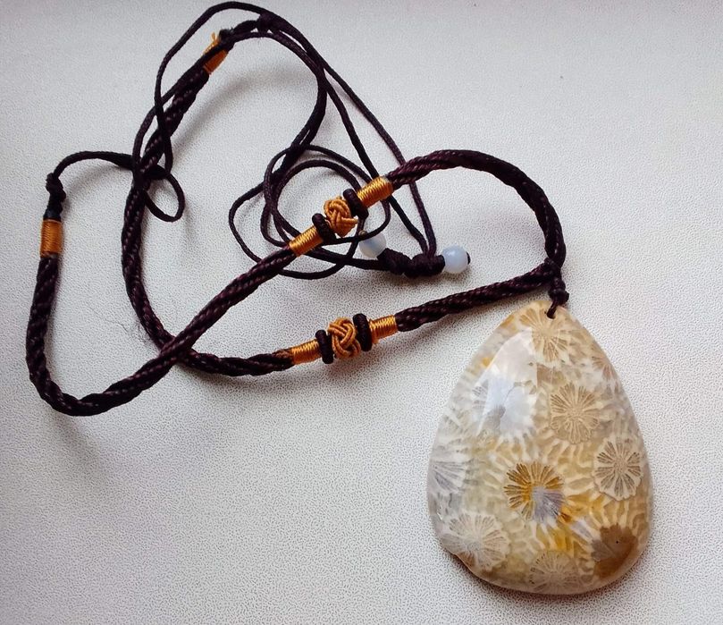 Окаменелый коралл Петоски Мичиган США