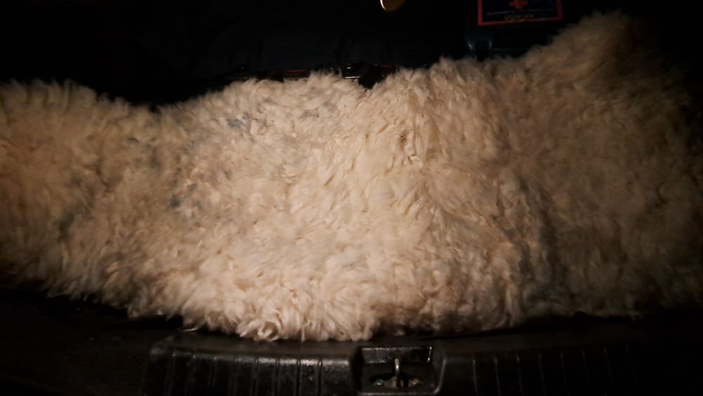 Чехол автомобиль