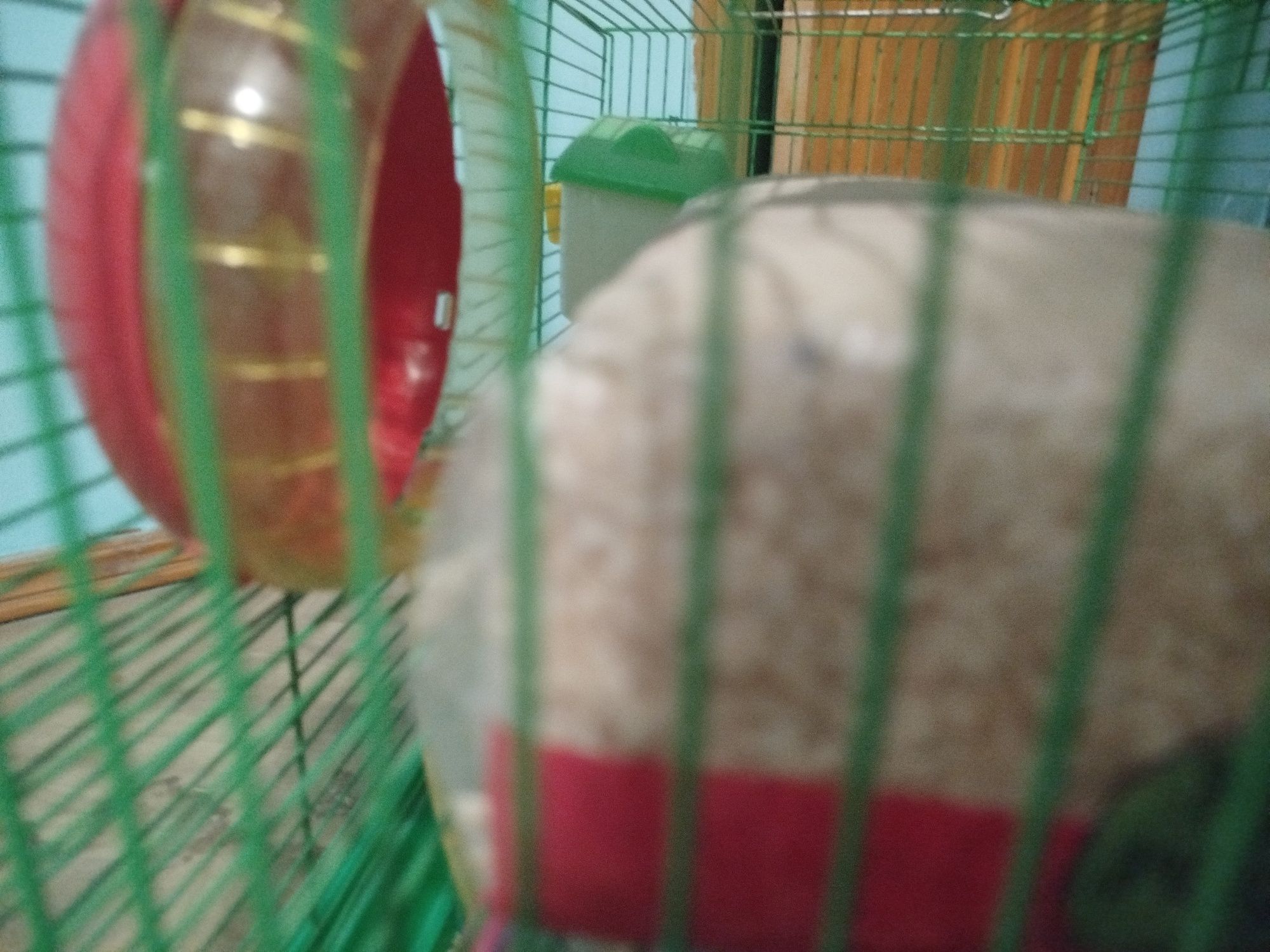 продам клетку для грызунов