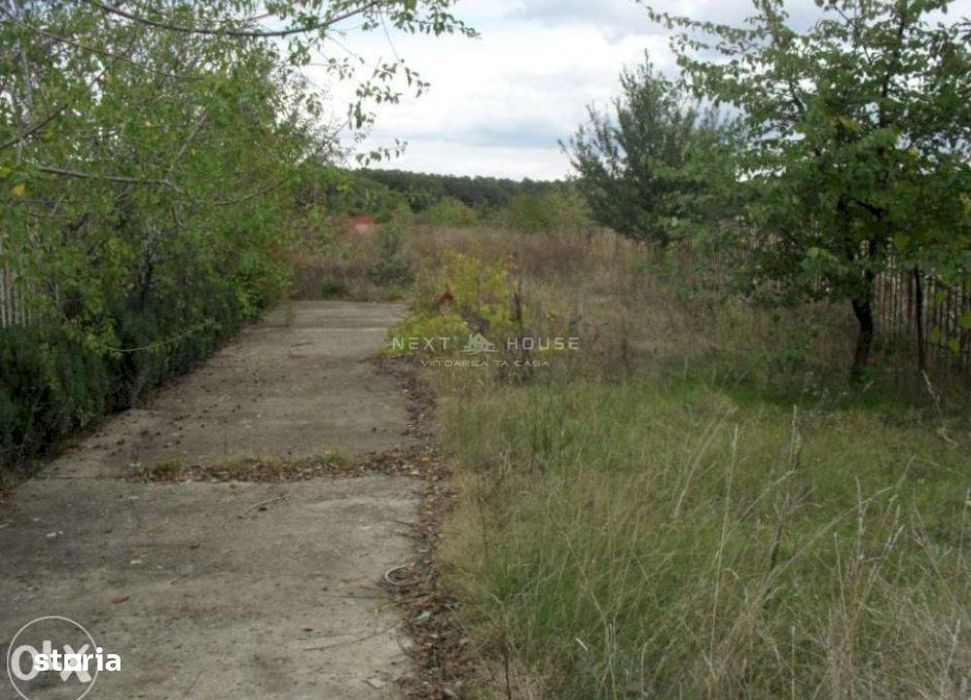 Teren la 35 km de Bucuresti - Izvorani - Ciolpani