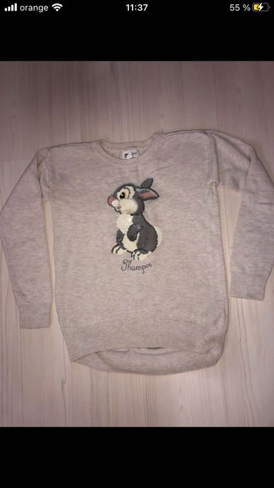 Pulover 12-13 ani Gap