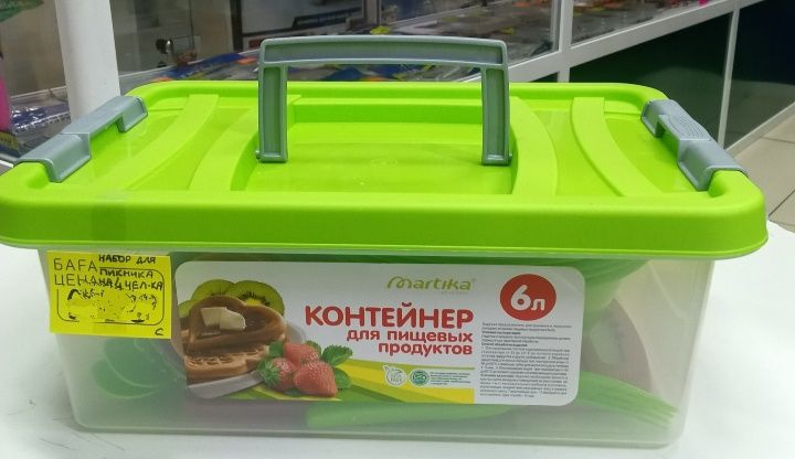 Набор для пикника на 4 персоны в контейнере