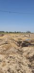 Продажа земли на урта сарой срочна тери гектар катжний гарадок можна