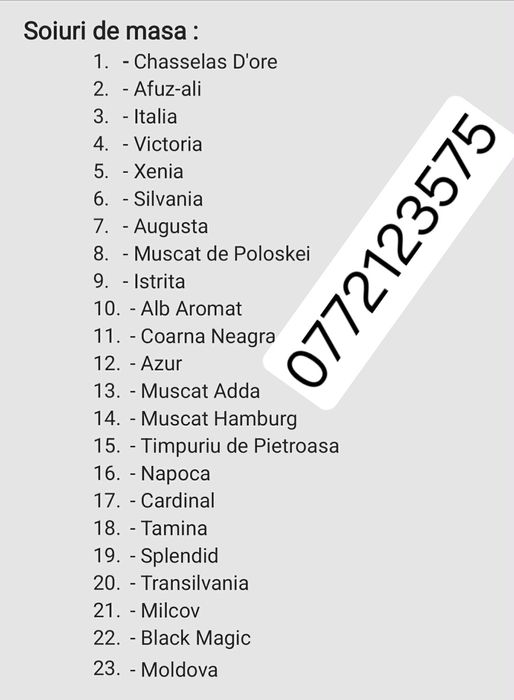 Butasi vita de vie altoiți și hibrid