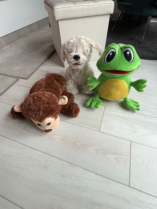 3 детски плюшени играчки, животни, за деца