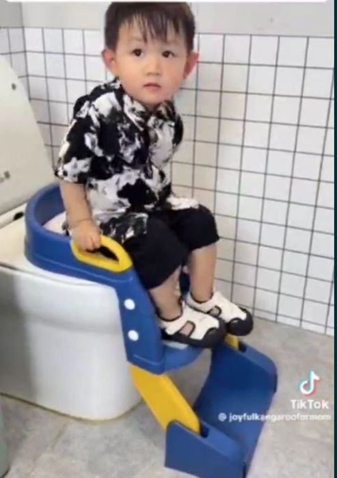 Универсальная подставка для унитаза и горшка.