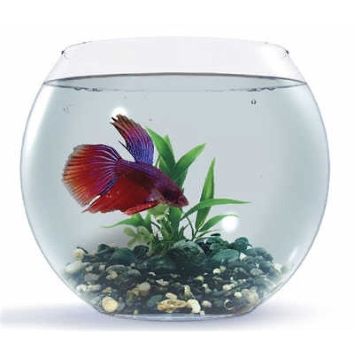 Круглый аквариум 9 л