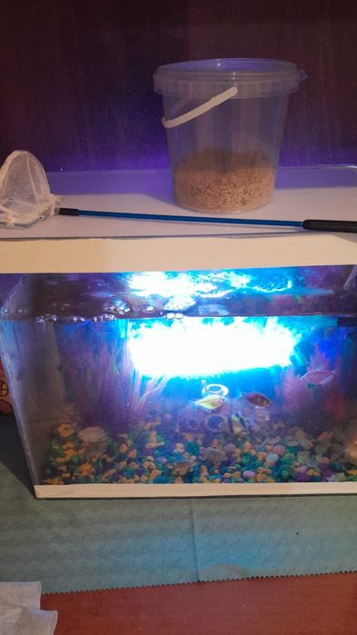 аквариум 25 литров вместе с рыбками 10 штук отдам за 20.000
