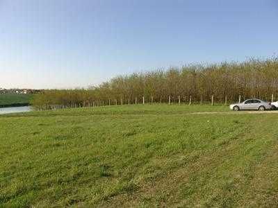 PROPRIETAR - 17.000 mp langa padure si lac - URGENT