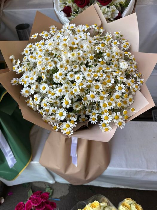 Romashka xrazantema buket gullar