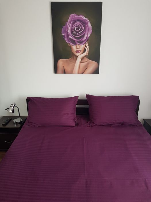 Chirie ap 2 camere,Str Lacramioarei