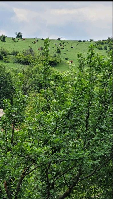 Продавам къща село Николово