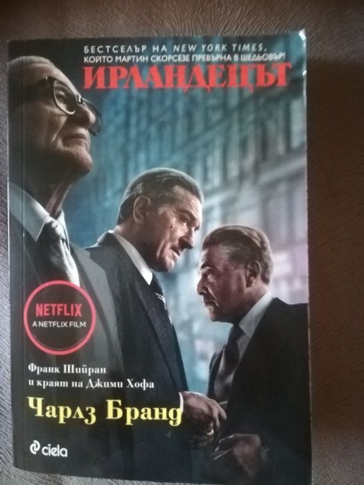Книга - Ирландецът