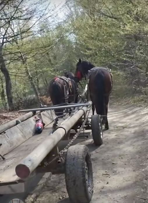Căruță de vânzare