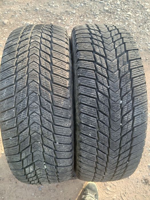 Р15 Нексен Карея