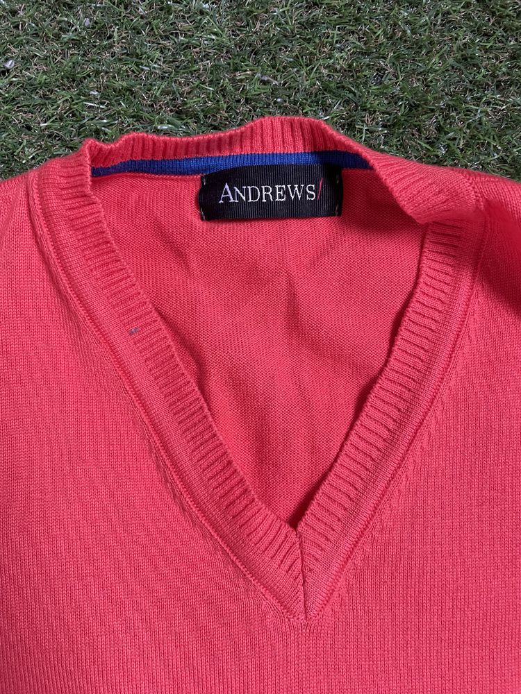 Мъжки пуловер Andrews
