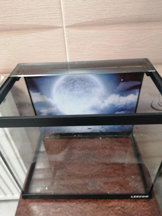 Acvariu leecom de vânzare rar