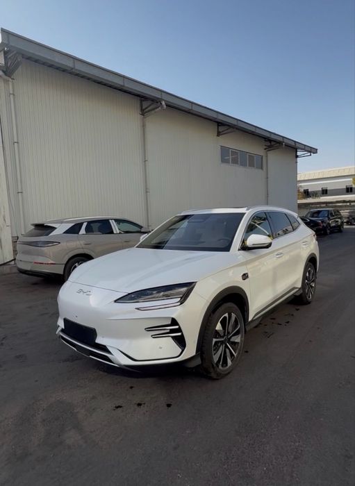 Byd chempion smart 2026