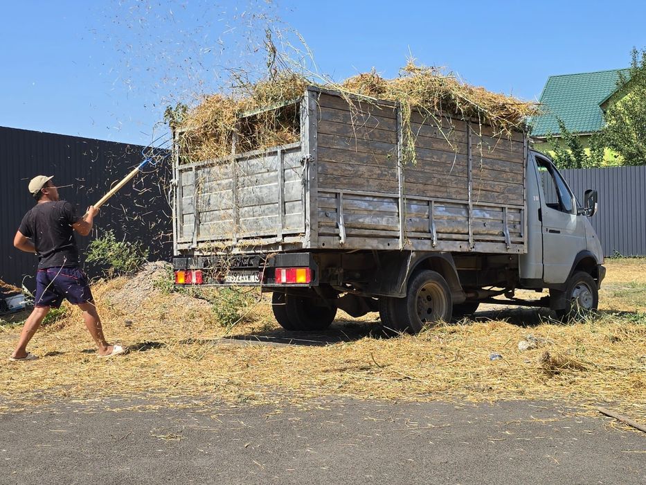 Вывоз мусора с грузчиками.