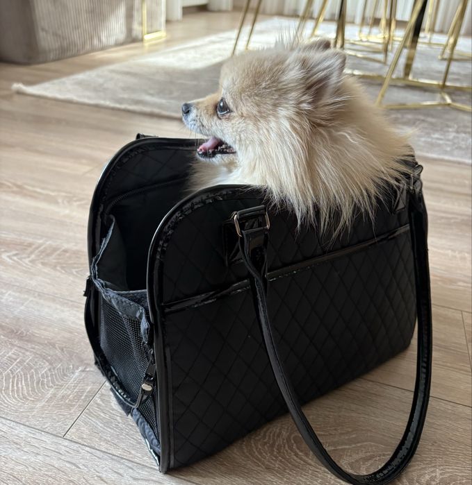 Чанта за домашен любимец