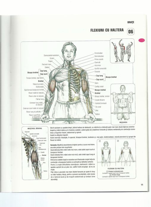 Cartea Anatomia unui corp perfect