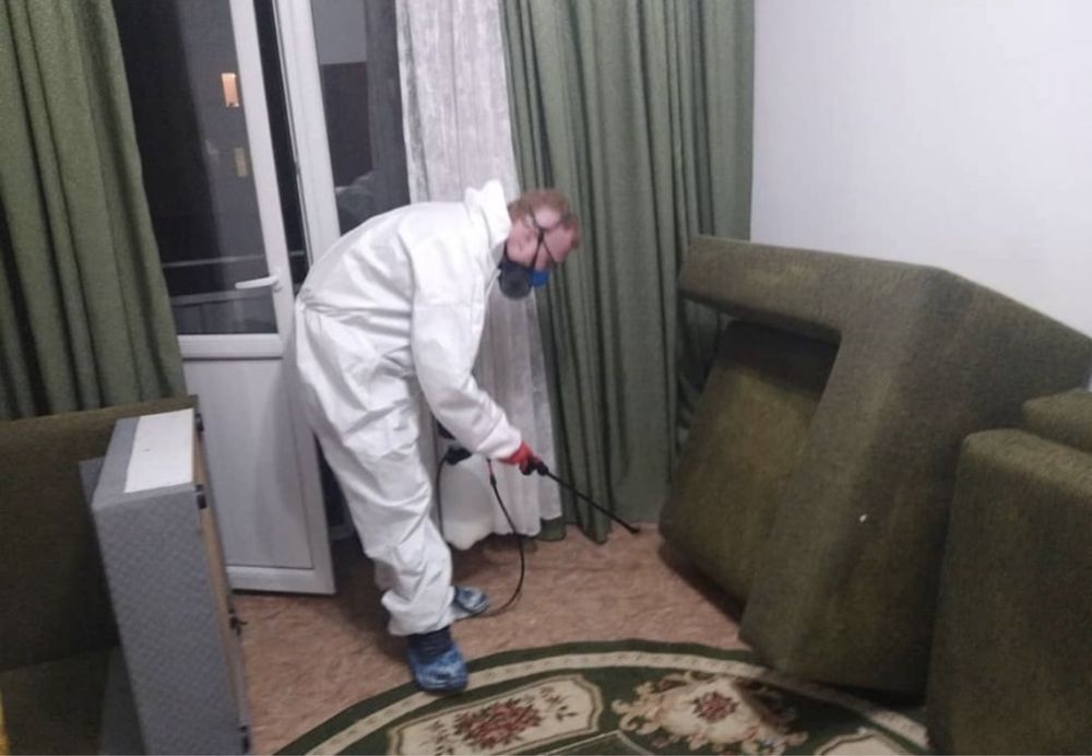 Дератизация в Каскелене защита вашего дома и бизнеса от крыс и мыш