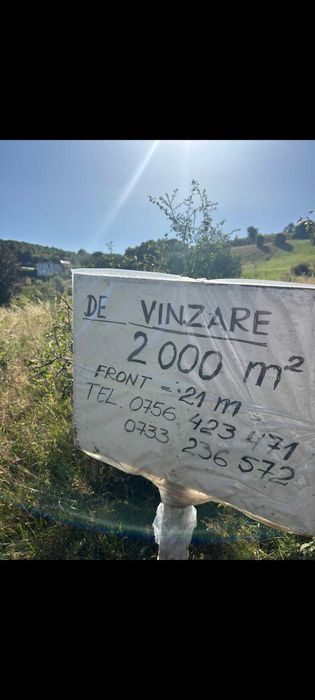 Vanzare teren Salicea