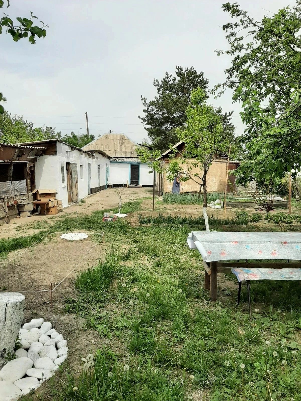 Продам дом,большой участок,посёлок Шымыр