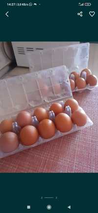 Продам яйцо домашнее