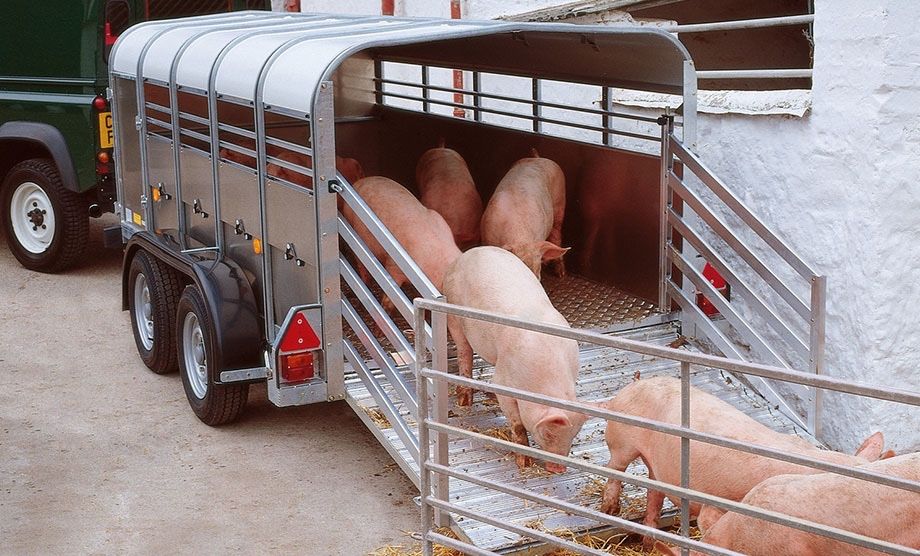 Transport animale vii autorizat oriunde in ROMANIA