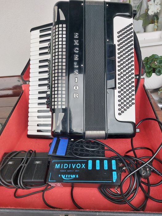 Acordeon Excelsior 120 basi