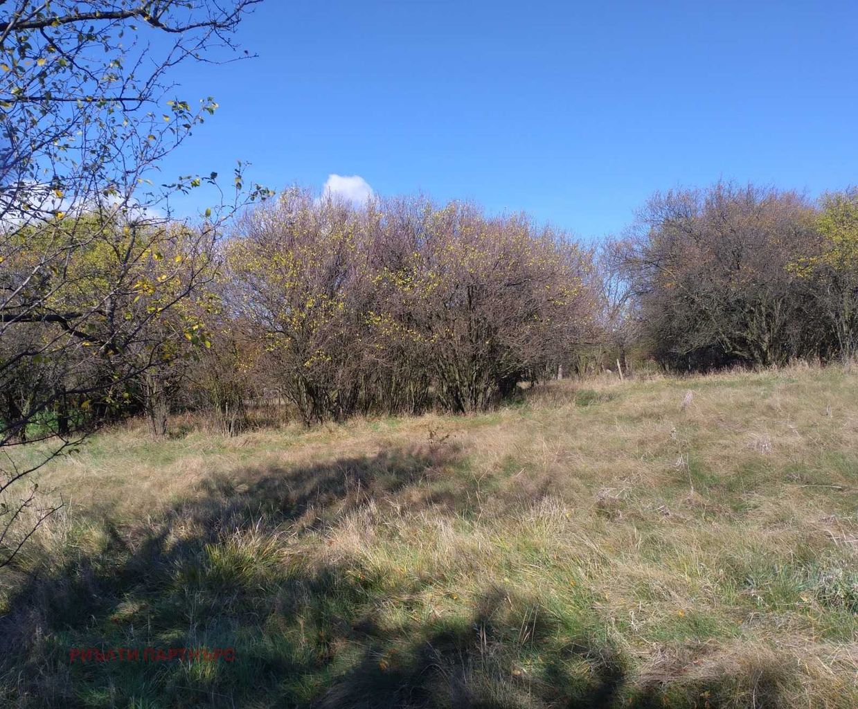 Продава се Парцел в с. Слаковци, Област Перник - 791 кв.м за 16 €/кв.м - Снимка #5