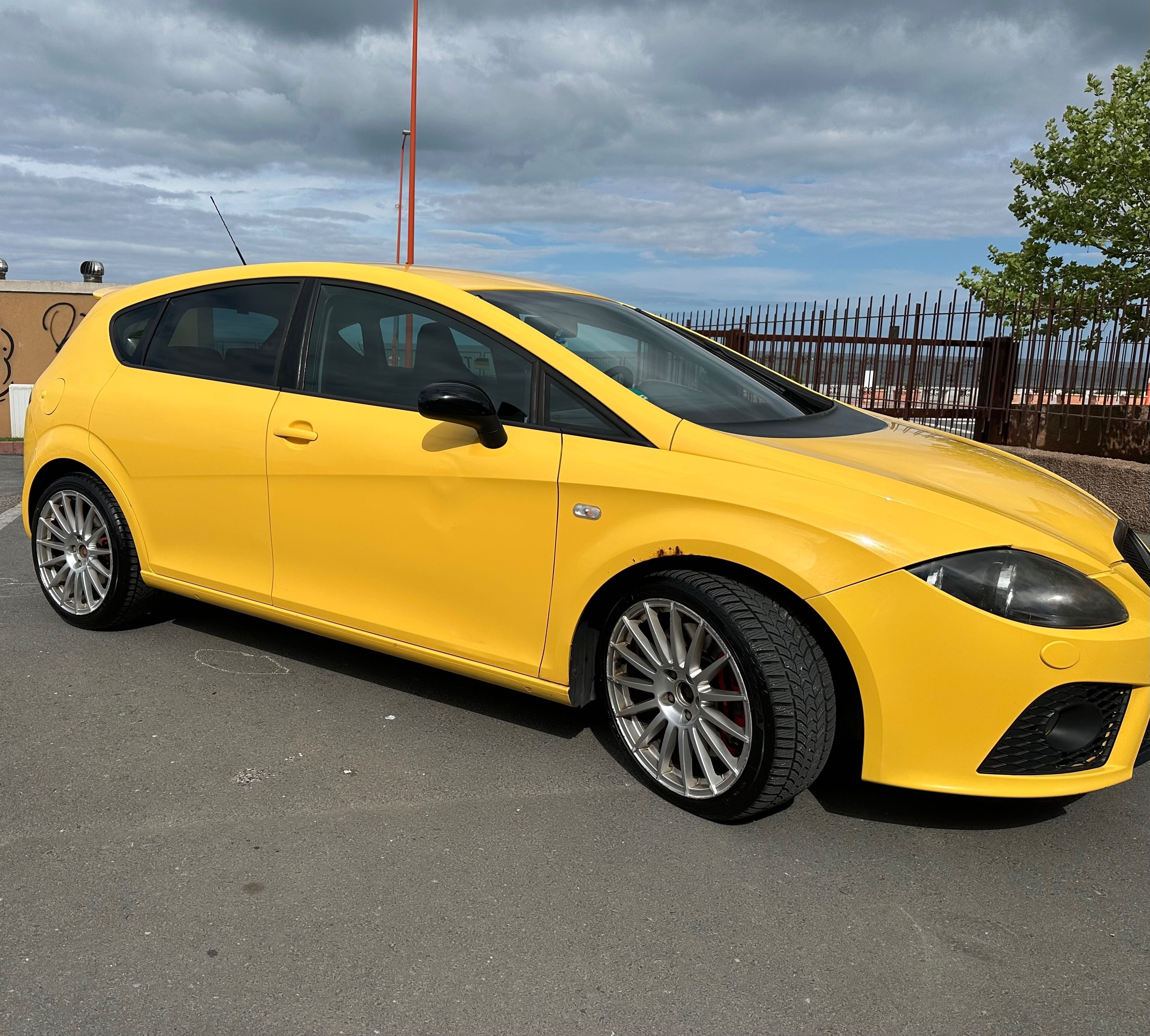 Seat cupra 2.0 tfsi