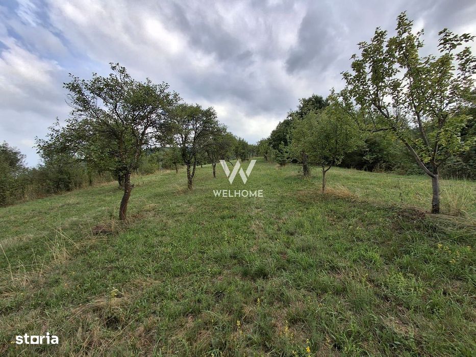 De vânzare teren extravilan în Sibiel, jud. Sibiu – 3223 mp