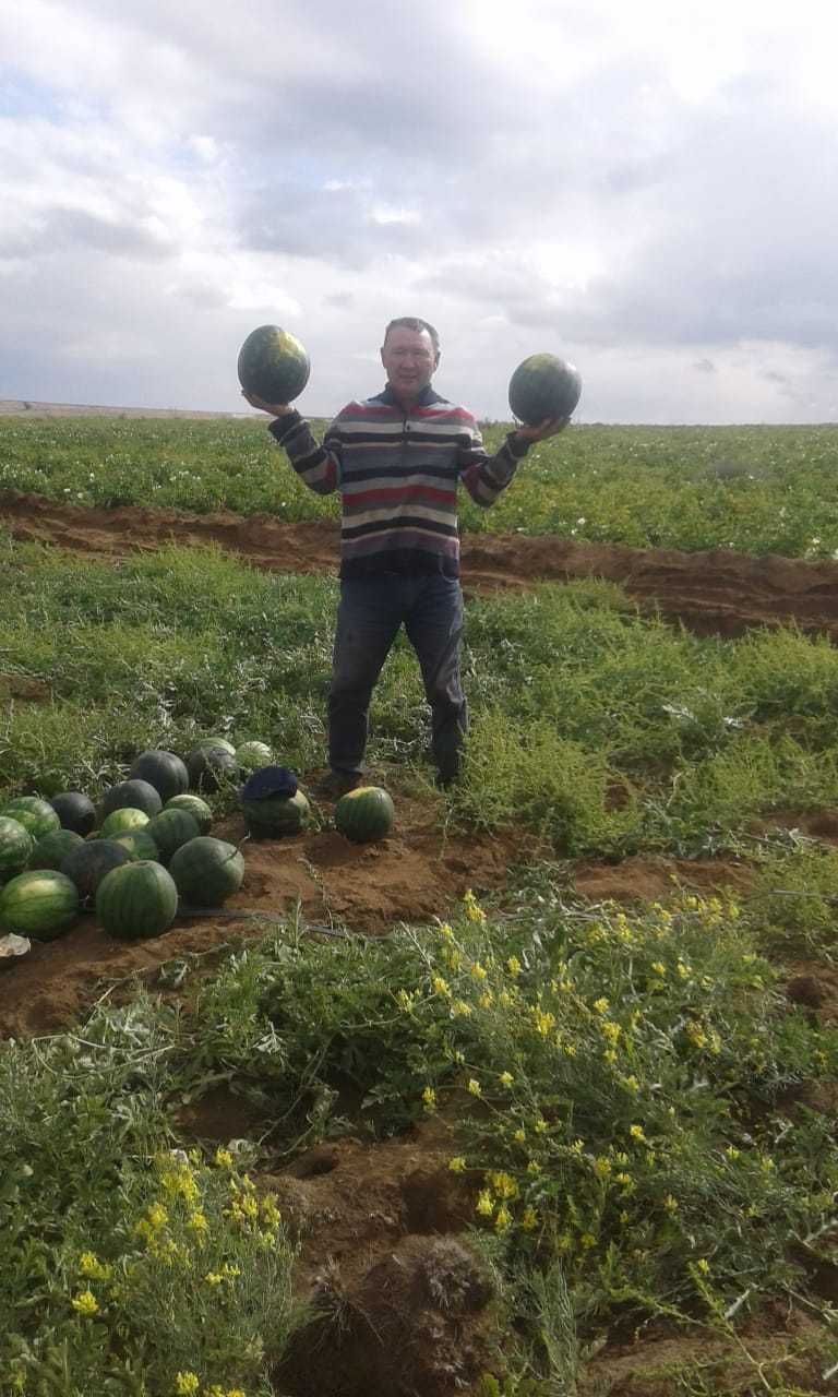 Ищу инвестора в крестьянское хозяйство растениеводство