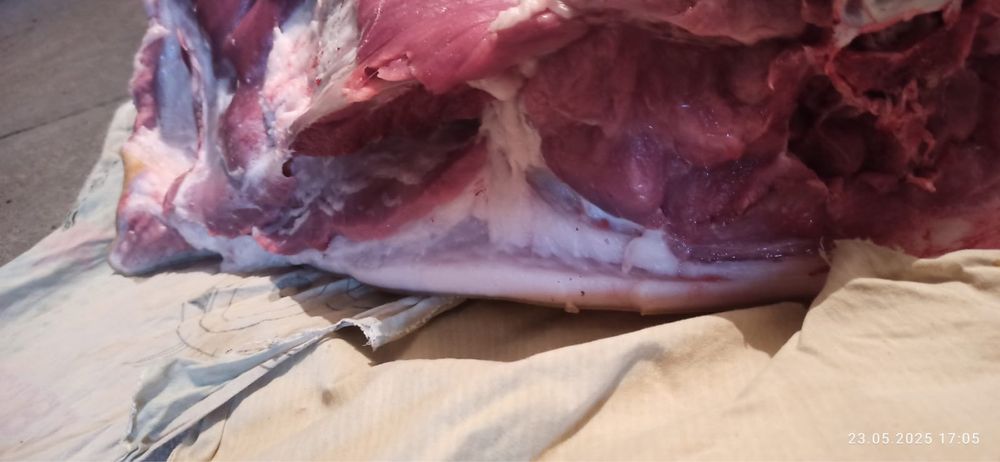 Продаем домашнее мясо