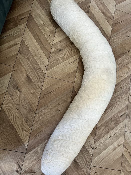 Perna gravida, mare, alba